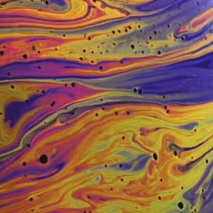 Meet your Posher, Madison